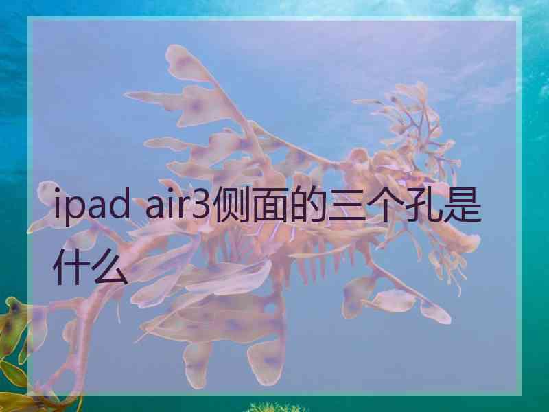 ipad air3侧面的三个孔是什么