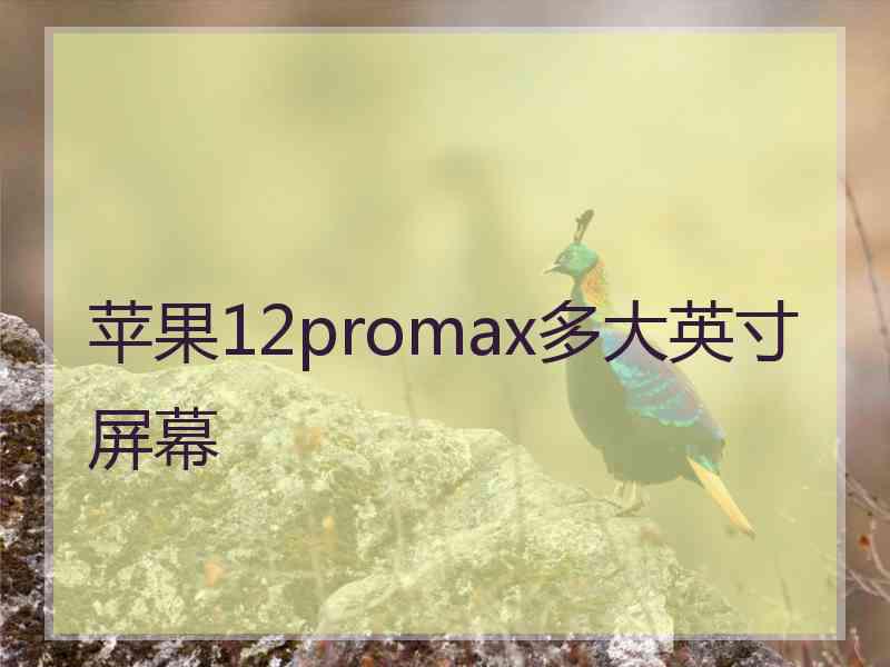 苹果12promax多大英寸屏幕