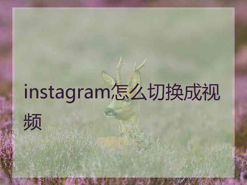 instagram怎么切换成视频