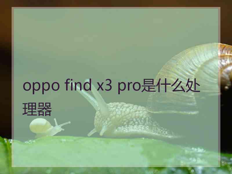 oppo find x3 pro是什么处理器