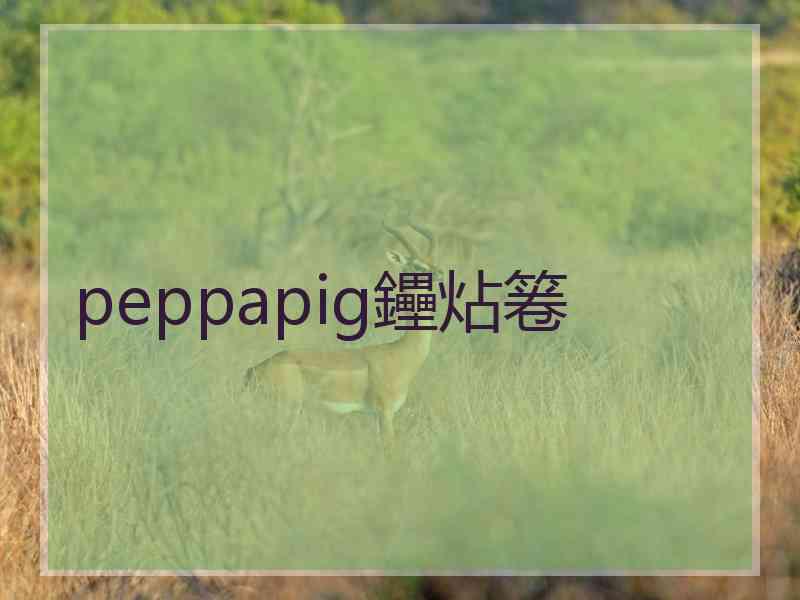 peppapig鑸炶箞