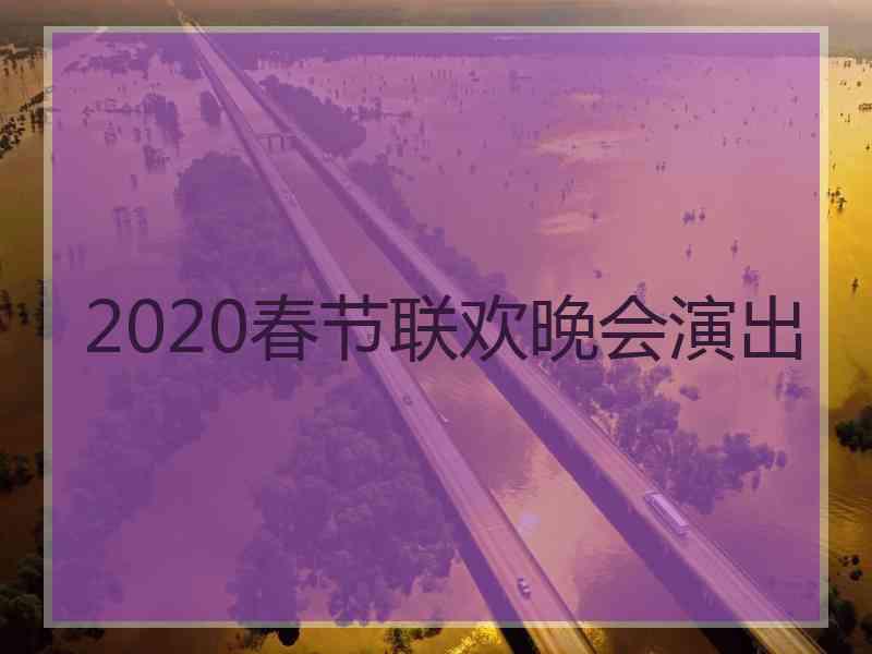 2020春节联欢晚会演出