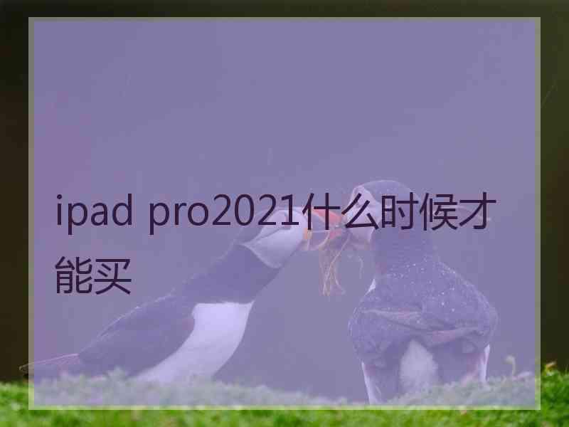 ipad pro2021什么时候才能买