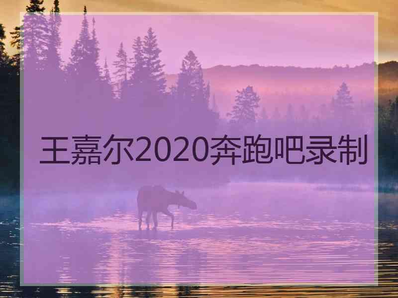 王嘉尔2020奔跑吧录制