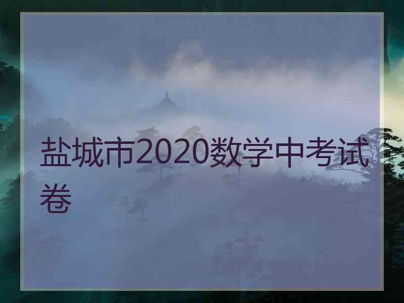 盐城市2020数学中考试卷