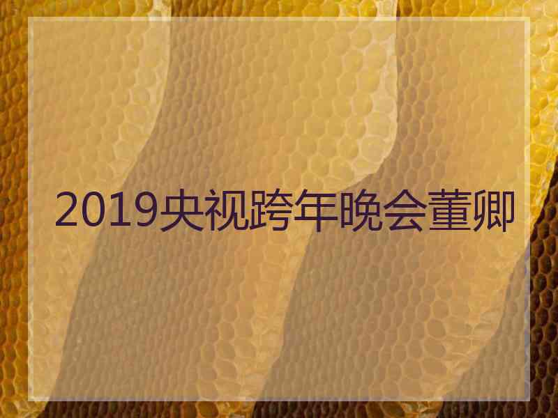 2019央视跨年晚会董卿