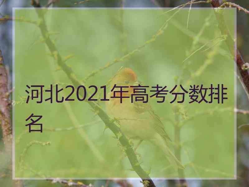 河北2021年高考分数排名