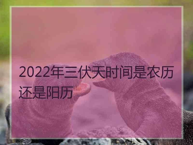 2022年三伏天时间是农历还是阳历