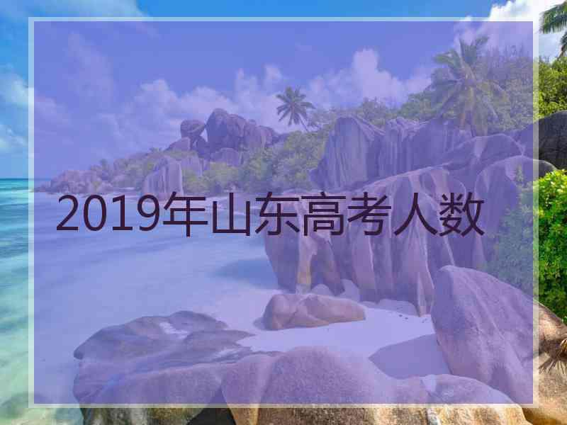 2019年山东高考人数