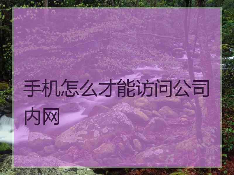 手机怎么才能访问公司内网