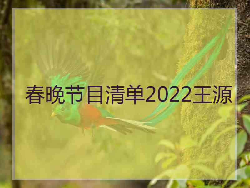 春晚节目清单2022王源