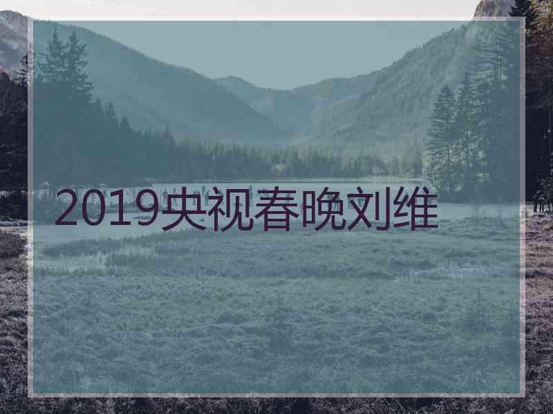 2019央视春晚刘维