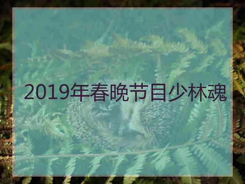 2019年春晚节目少林魂