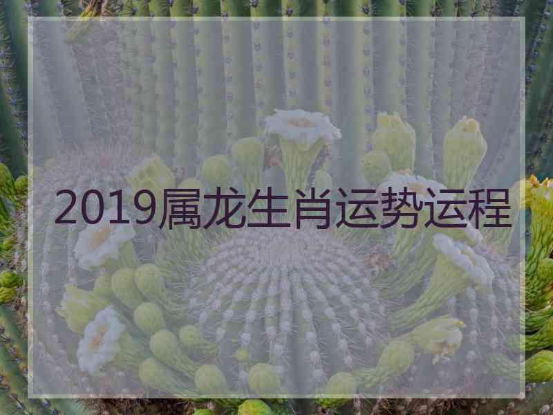 2019属龙生肖运势运程