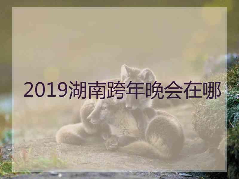 2019湖南跨年晚会在哪