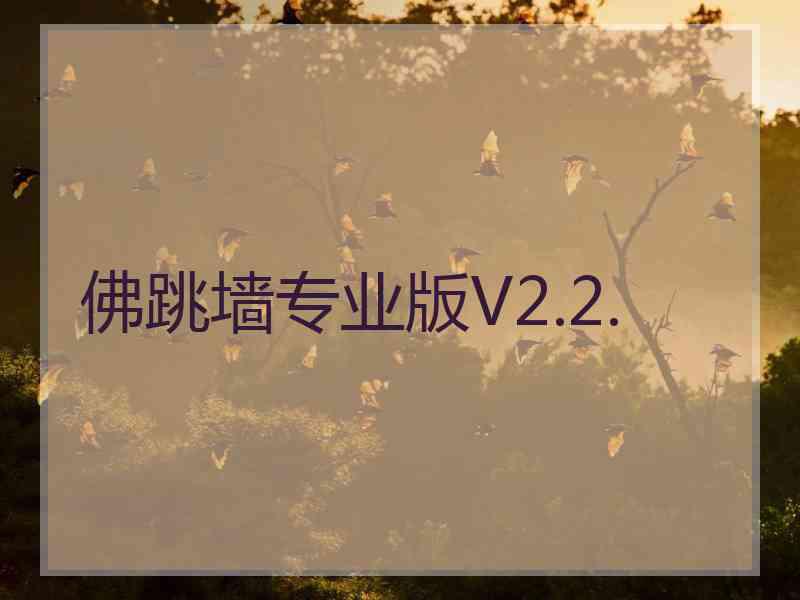 佛跳墙专业版V2.2.