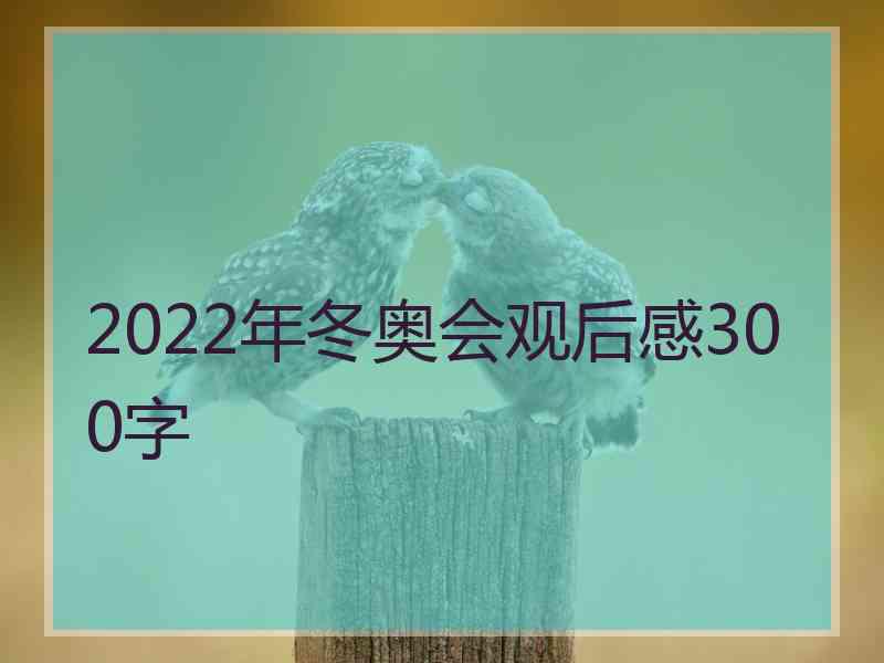 2022年冬奥会观后感300字