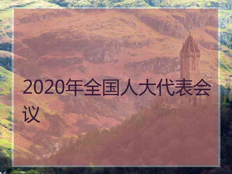 2020年全国人大代表会议