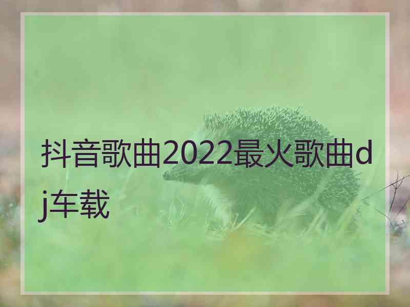 抖音歌曲2022最火歌曲dj车载