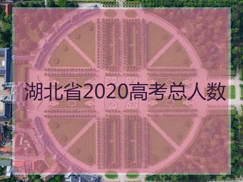 湖北省2020高考总人数