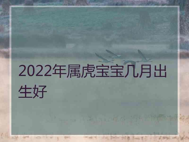 2022年属虎宝宝几月出生好