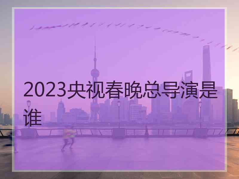 2023央视春晚总导演是谁