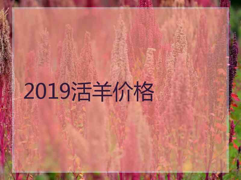 2019活羊价格