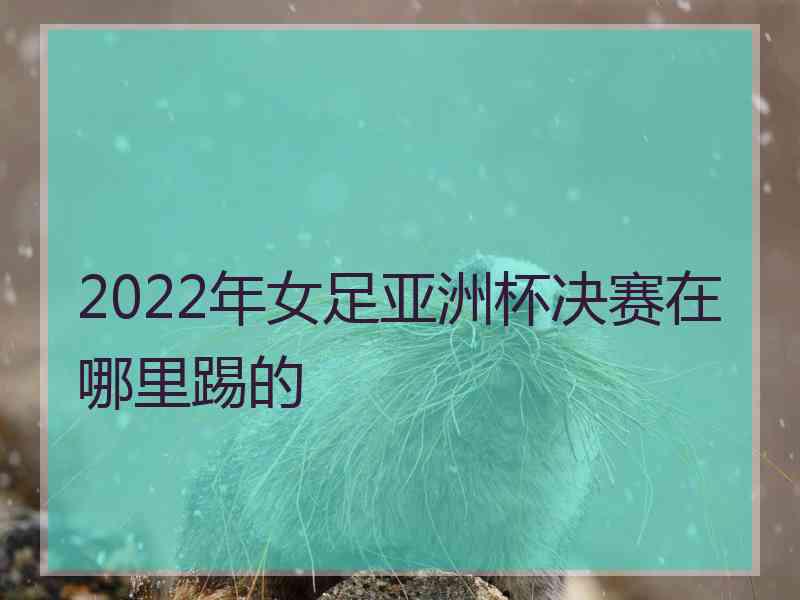 2022年女足亚洲杯决赛在哪里踢的