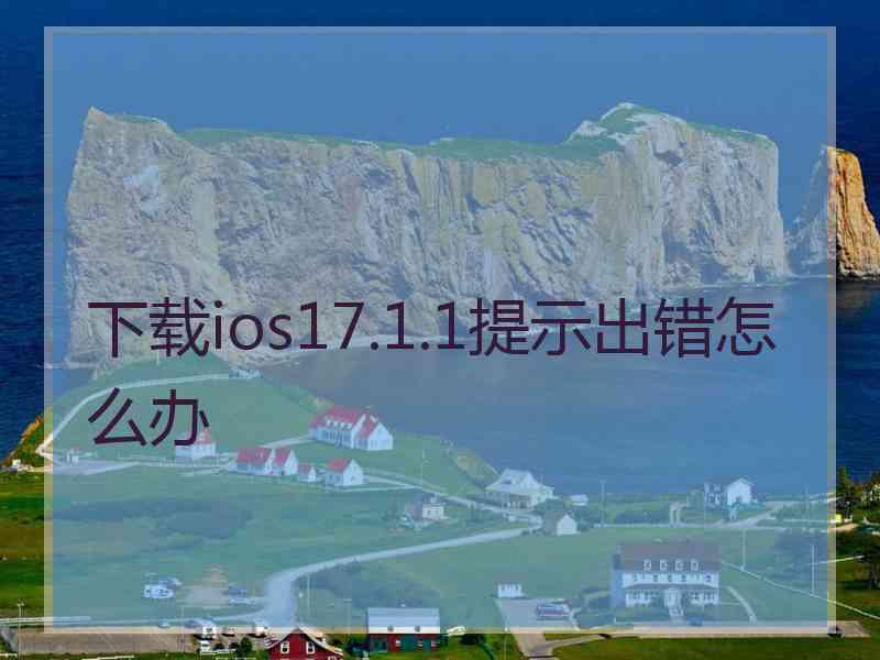 下载ios17.1.1提示出错怎么办