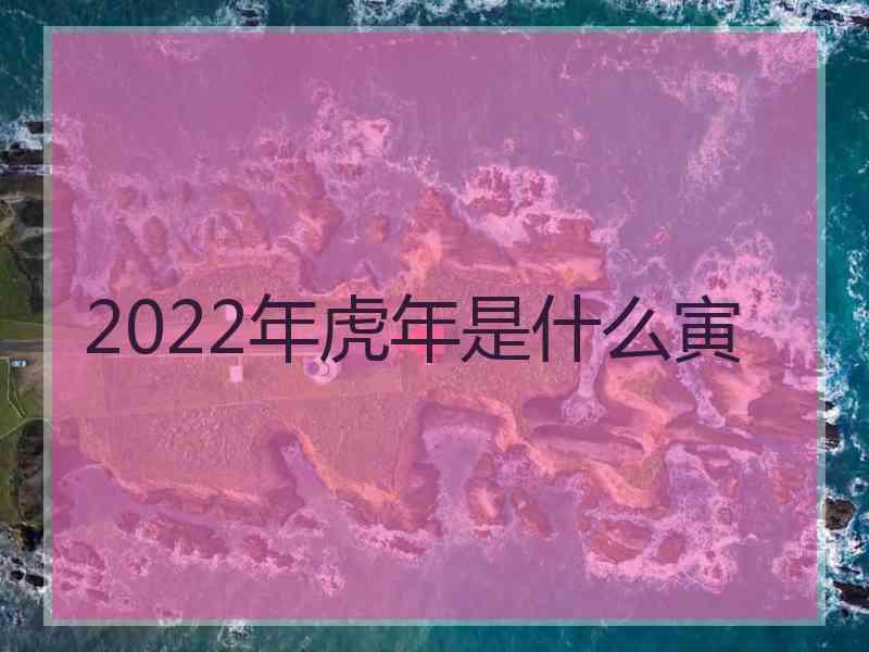 2022年虎年是什么寅