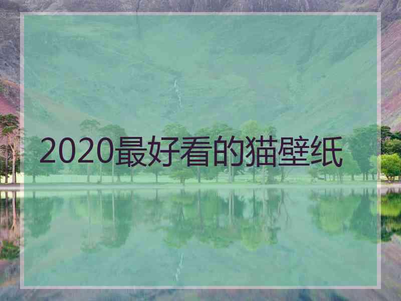 2020最好看的猫壁纸