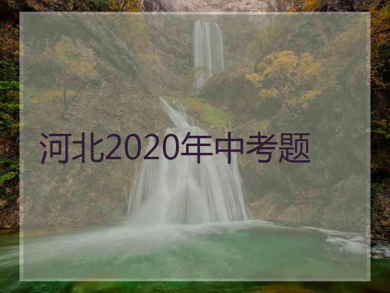 河北2020年中考题