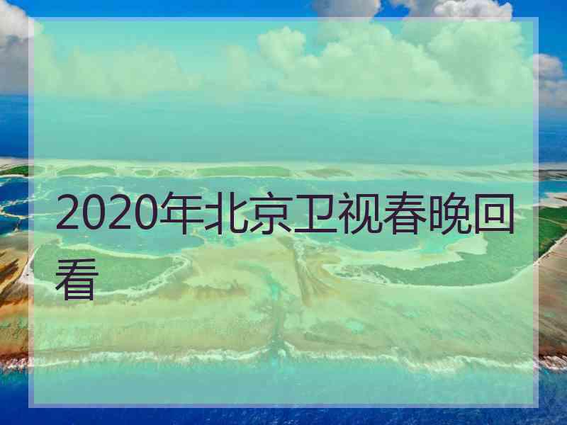 2020年北京卫视春晚回看