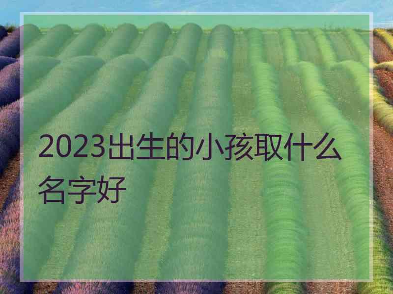 2023出生的小孩取什么名字好