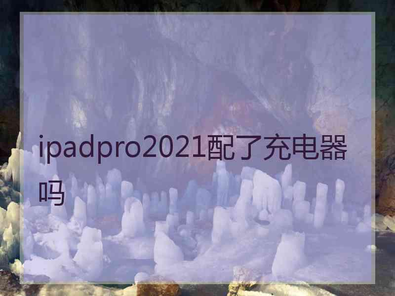 ipadpro2021配了充电器吗