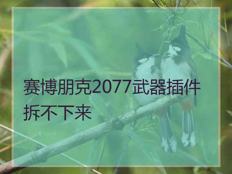 赛博朋克2077武器插件拆不下来