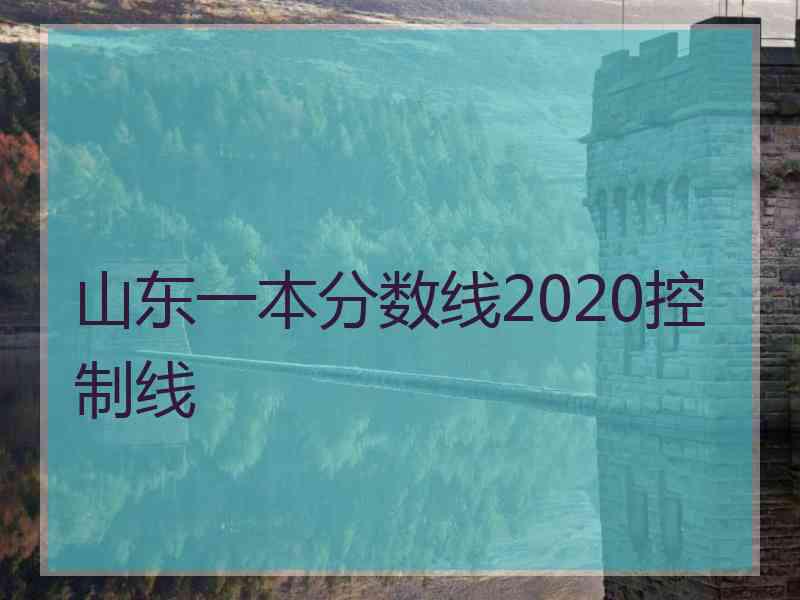 山东一本分数线2020控制线