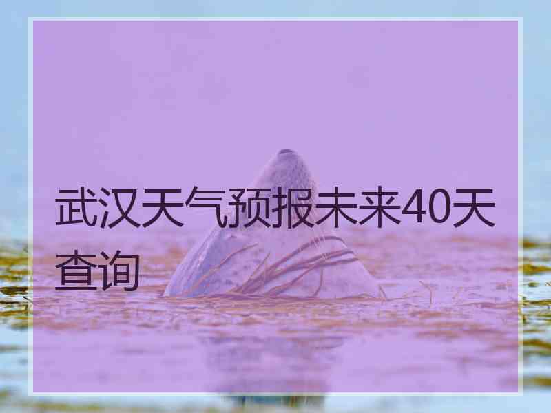 武汉天气预报未来40天查询