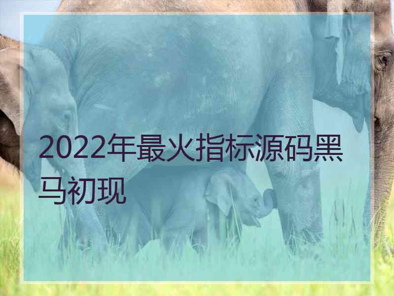 2022年最火指标源码黑马初现