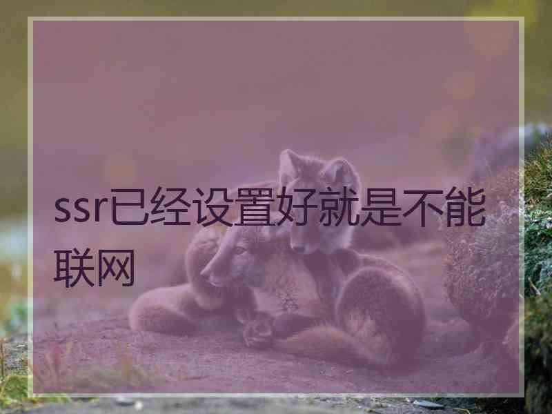 ssr已经设置好就是不能联网