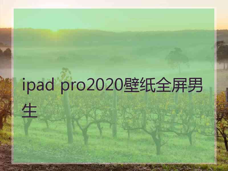 ipad pro2020壁纸全屏男生