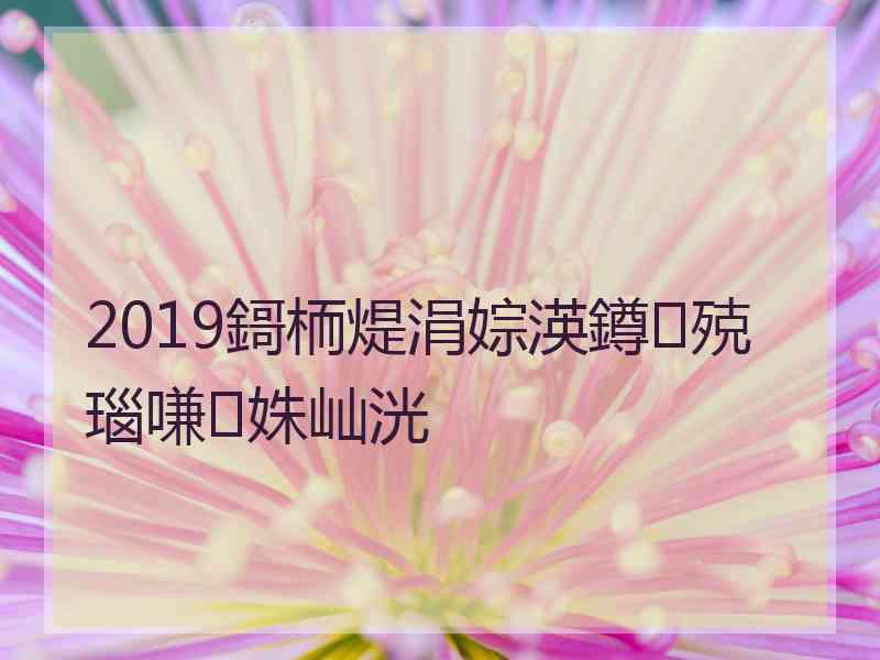 2019鎶栭煶涓婃渶鐏殑瑙嗛姝屾洸