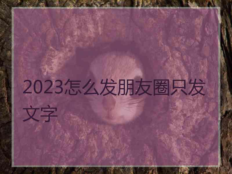 2023怎么发朋友圈只发文字