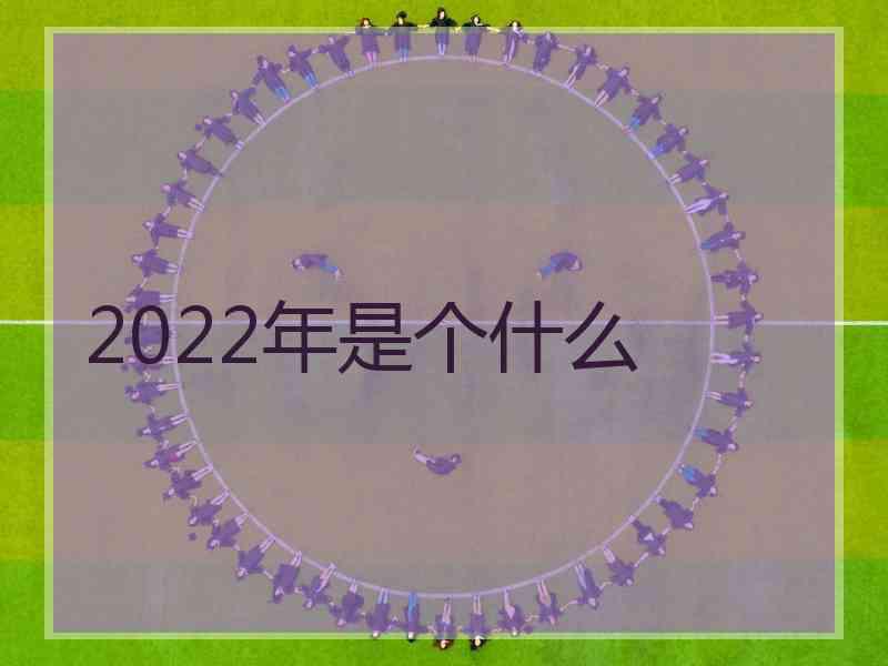 2022年是个什么