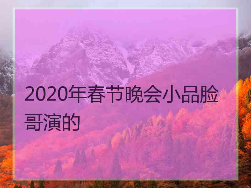 2020年春节晚会小品脸哥演的