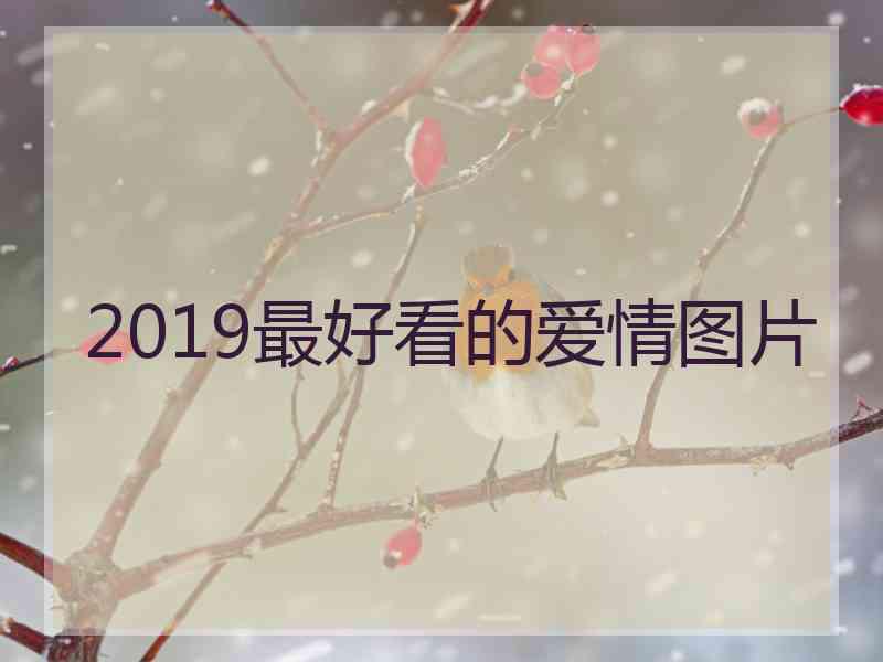 2019最好看的爱情图片