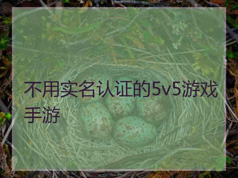 不用实名认证的5v5游戏手游