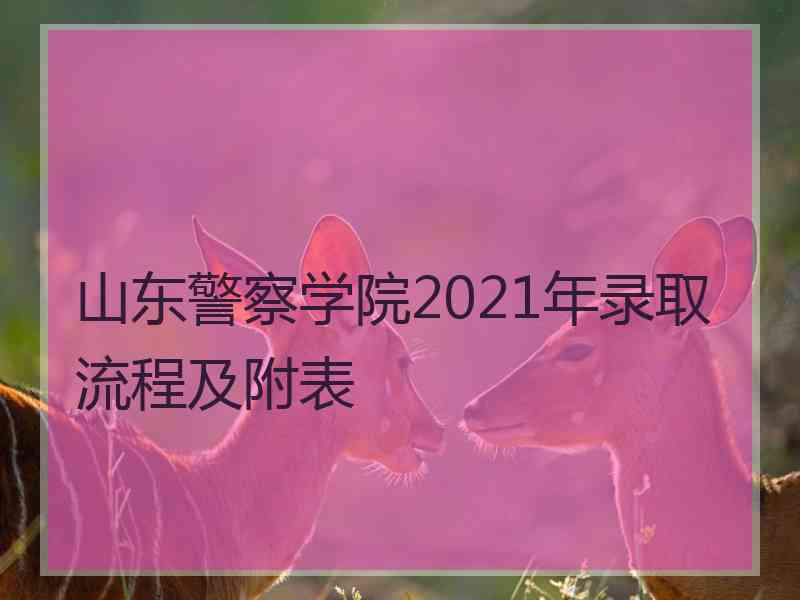 山东警察学院2021年录取流程及附表