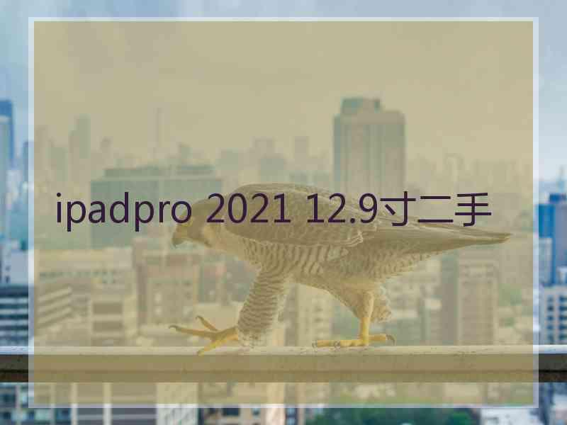 ipadpro 2021 12.9寸二手