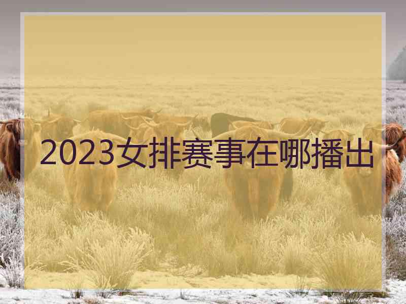 2023女排赛事在哪播出